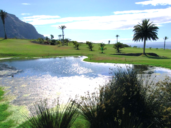 Zur�ck zur Bild�bersicht? Hier klicken!