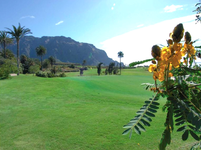 Zur�ck zur Bild�bersicht? Hier klicken!