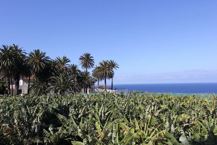 Zur�ck zur Bild�bersicht? Hier klicken!