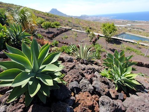 Zum Vergrern auf das Bild klicken...