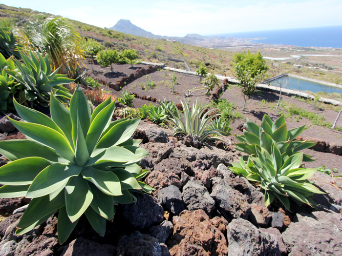 Zur�ck zur Bild�bersicht? Hier klicken!