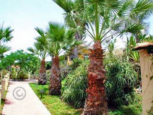 Cuco Azul - Bungalow B 