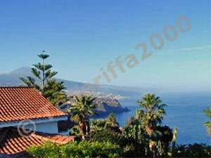 Cuco Azul - Bungalow B 