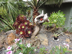 Zum Vergrern auf das Bild klicken...