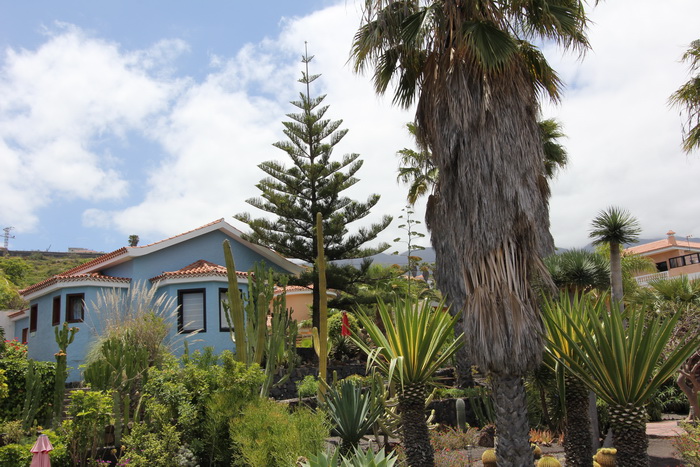 Zur�ck zur Bild�bersicht? Hier klicken!