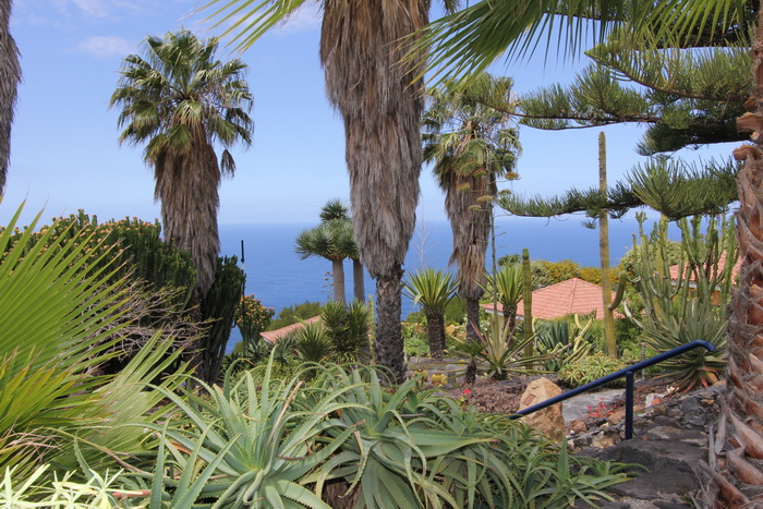 Zurck zur Bildbersicht? Hier klicken!