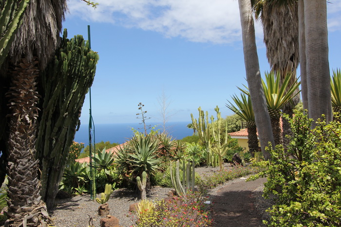 Zurck zur Bildbersicht? Hier klicken!