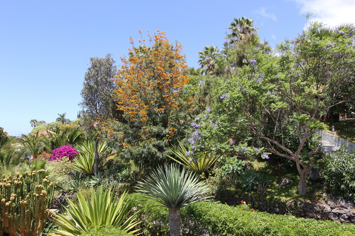 Zurck zur Bildbersicht? Hier klicken!