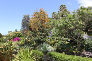 Zum Vergrern auf das Bild klicken...