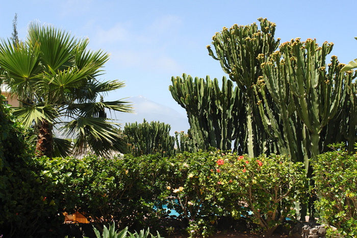 Zurck zur Bildbersicht? Hier klicken!