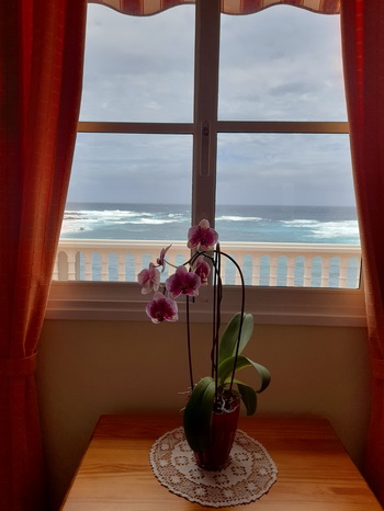 Zurck zur Bildbersicht? Hier klicken!