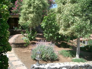 Zum Vergrern auf das Bild klicken...