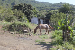 Zum Vergr��ern auf das Bild klicken...