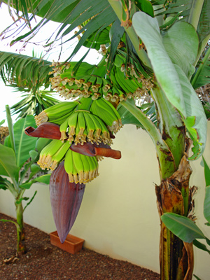 Click here for bigger photos