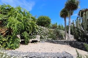 Zum Vergrern auf das Bild klicken...