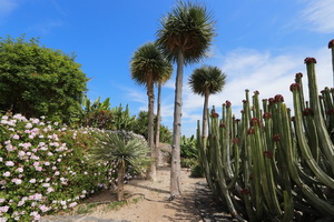 Zum Vergrern auf das Bild klicken...