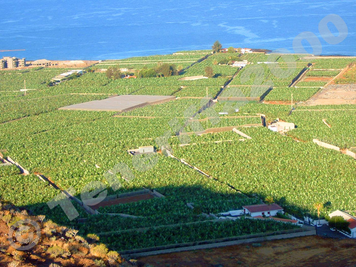 Zur�ck zur Bild�bersicht? Hier klicken!