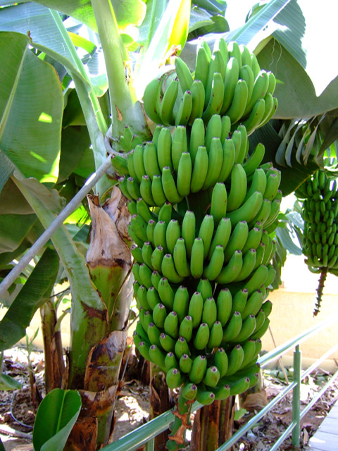 Zur�ck zur Bild�bersicht? Hier klicken!