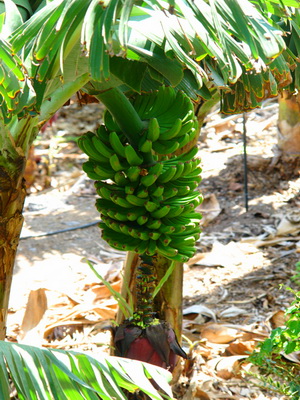 Zum Vergrern auf das Bild klicken...