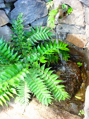 Zum Vergrern auf das Bild klicken...