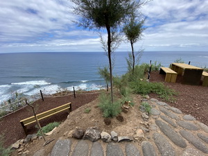 Zum Vergrern auf das Bild klicken...