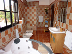 Zum Vergrern auf das Bild klicken...