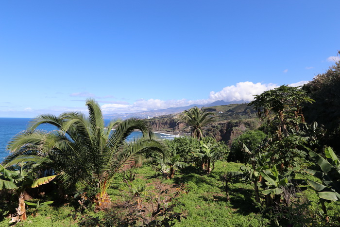 Zur�ck zur Bild�bersicht? Hier klicken!