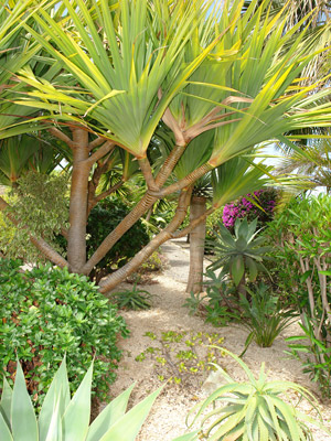 Zum Vergrern auf das Bild klicken...