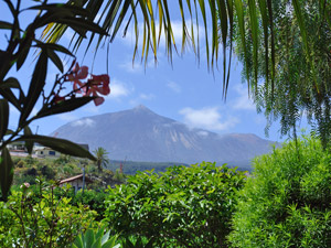 Zum Vergrern auf das Bild klicken...