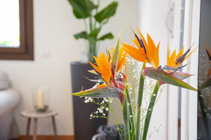 Zum Vergrern auf das Bild klicken...